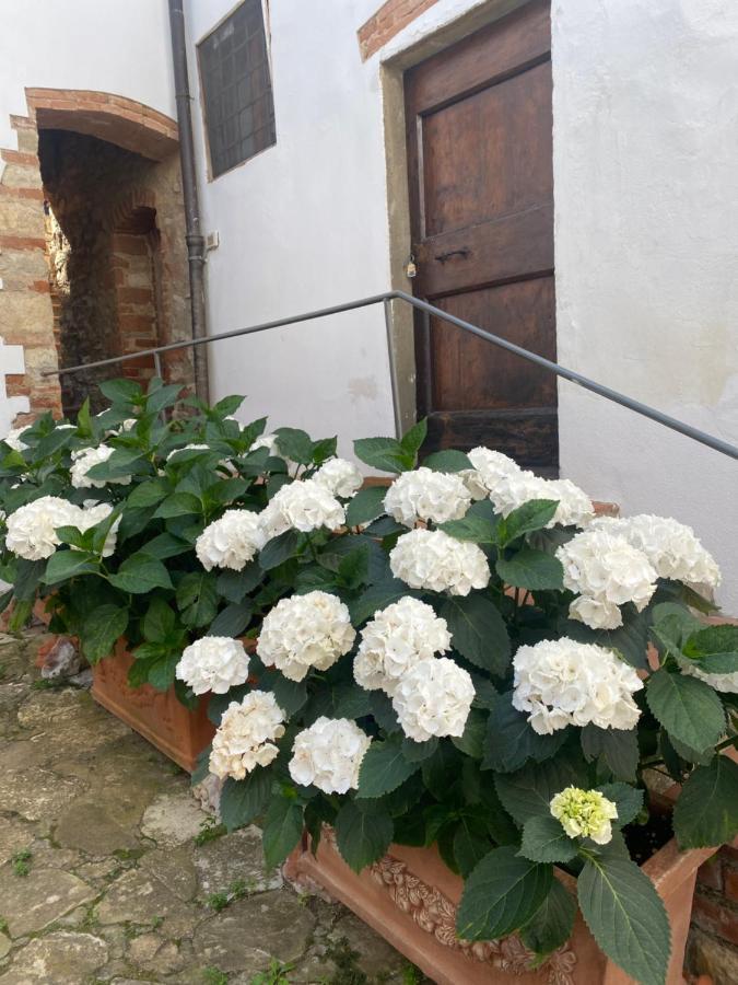Gavene Hotel Villamagna  Екстериор снимка